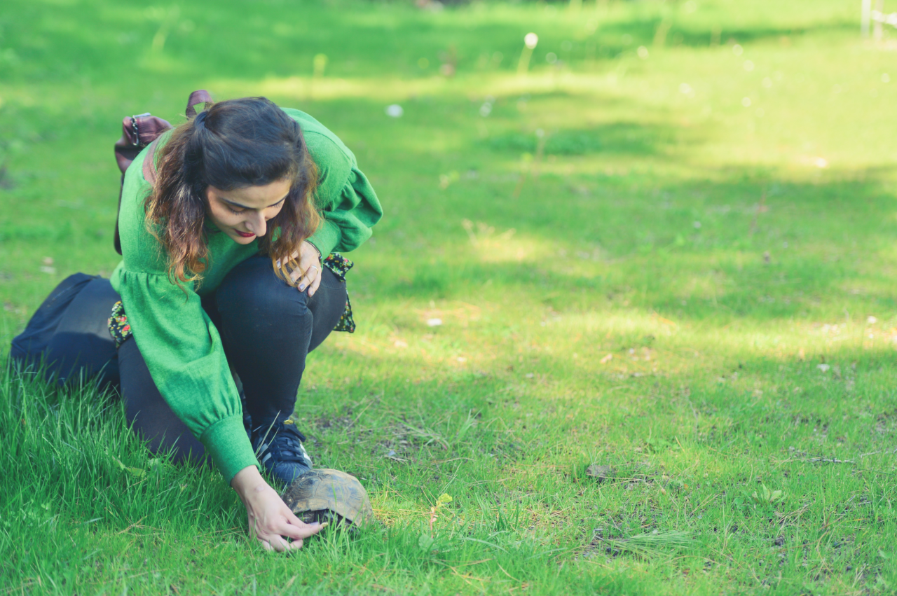 MSKÜ, UI GreenMetric 2025’te Üst Sıralarda Yer Aldı