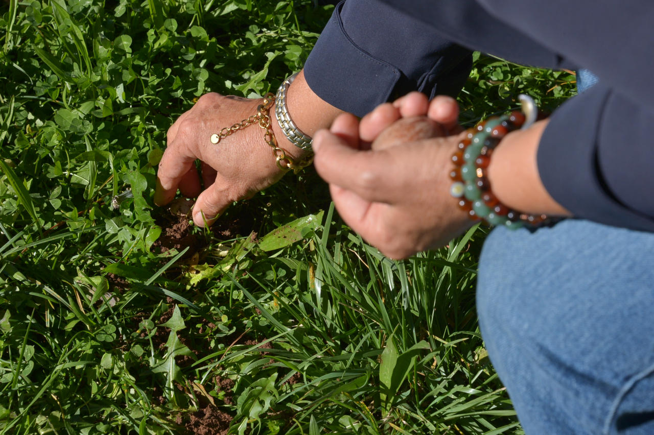 MSKÜ’de “DENGE Belgeseli ile Sürdürülebilir Yaşam Günü” 