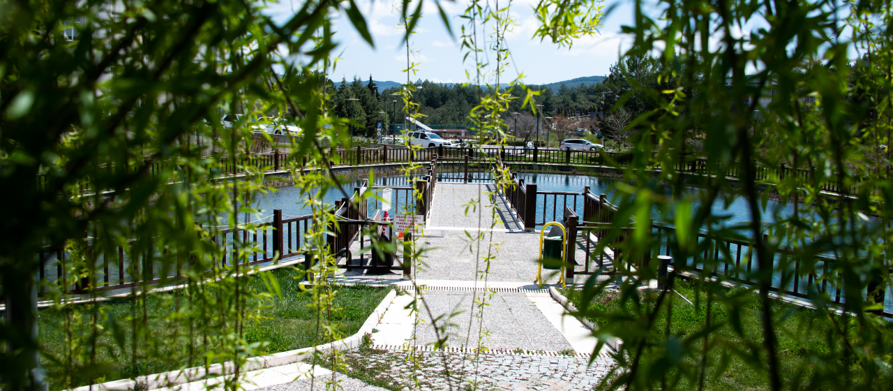 MSKÜ, UI GreenMetric 2025’te Üst Sıralarda Yer Aldı