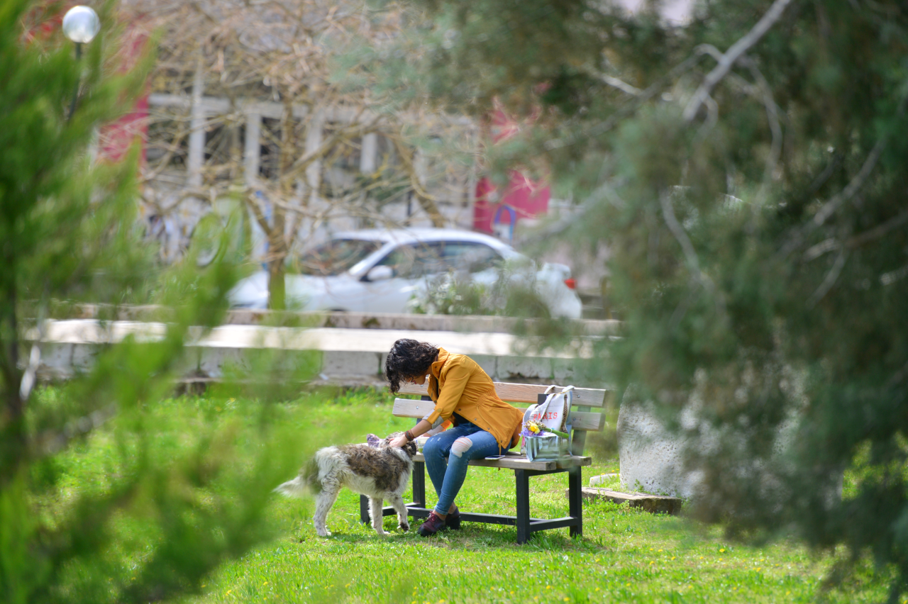 MSKÜ, UI GreenMetric 2025’te Üst Sıralarda Yer Aldı